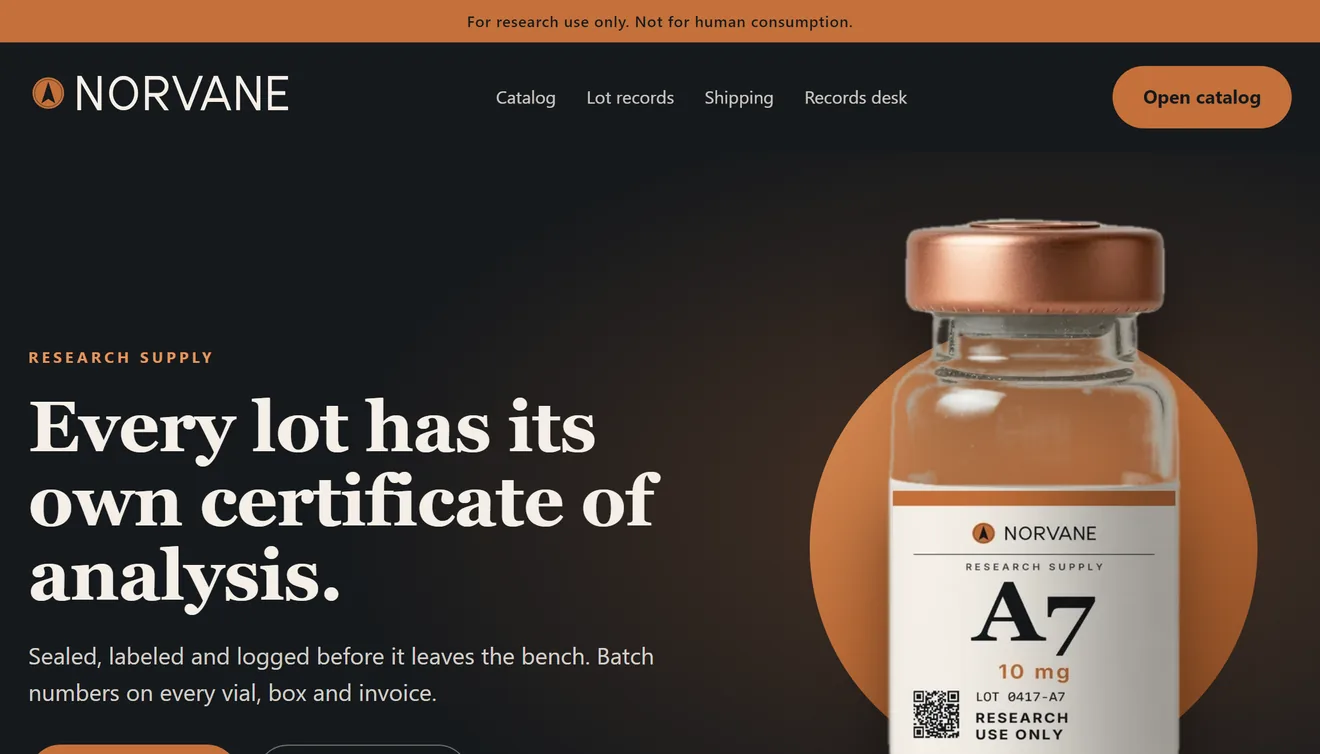 The fictional store's home page Brand Absorber read: a copper bar, the logo, a serif headline and a copper button